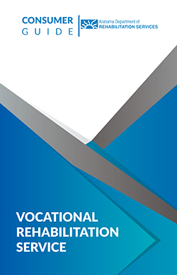 VRS Consumer Guide in English thumbnail